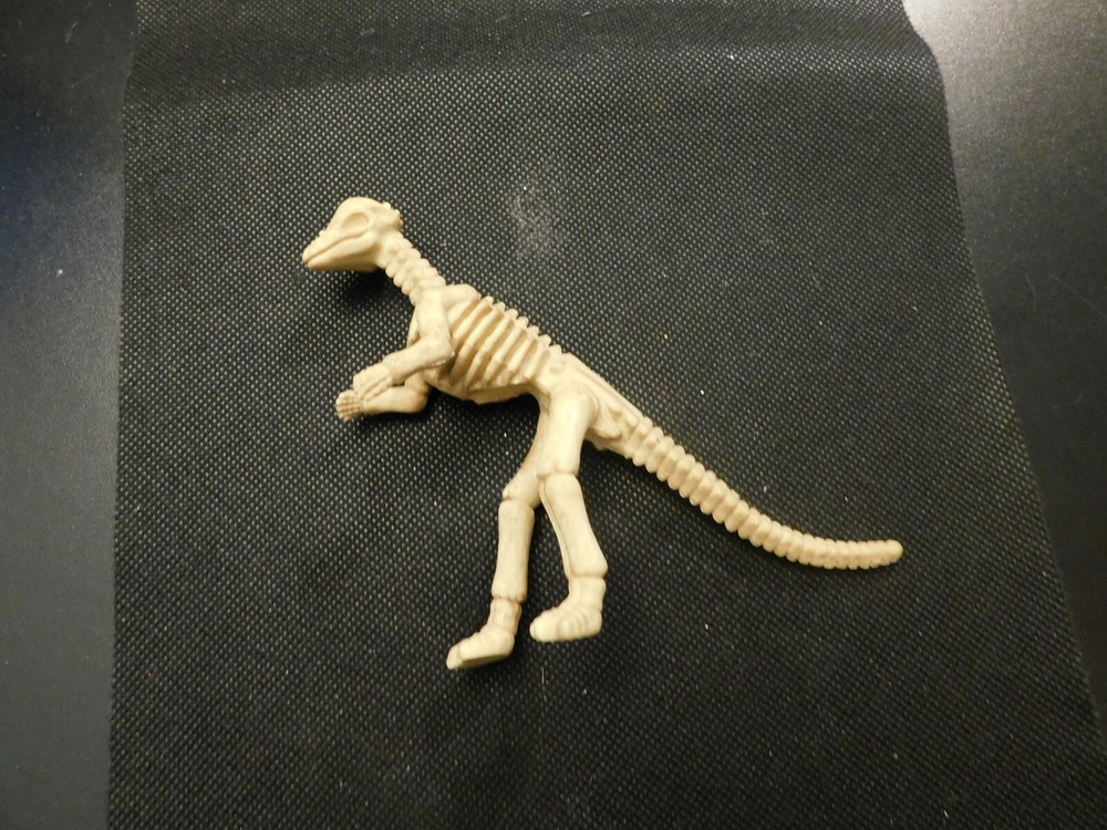 DINOSAUR SKELETON! e798XCX