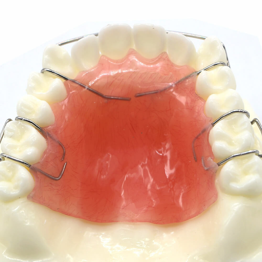Dental Orthodontic Wearing Trainer Demonstration Plastic Model Teeth