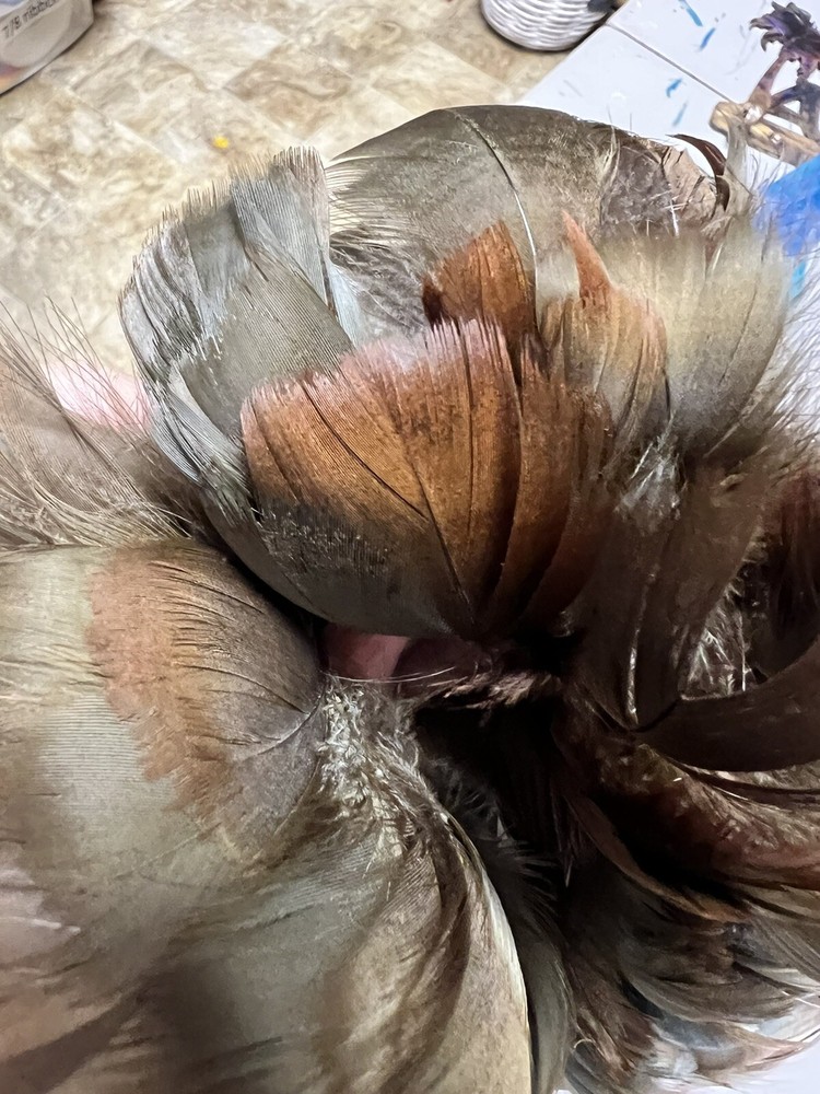 feathers for cowboy hats
