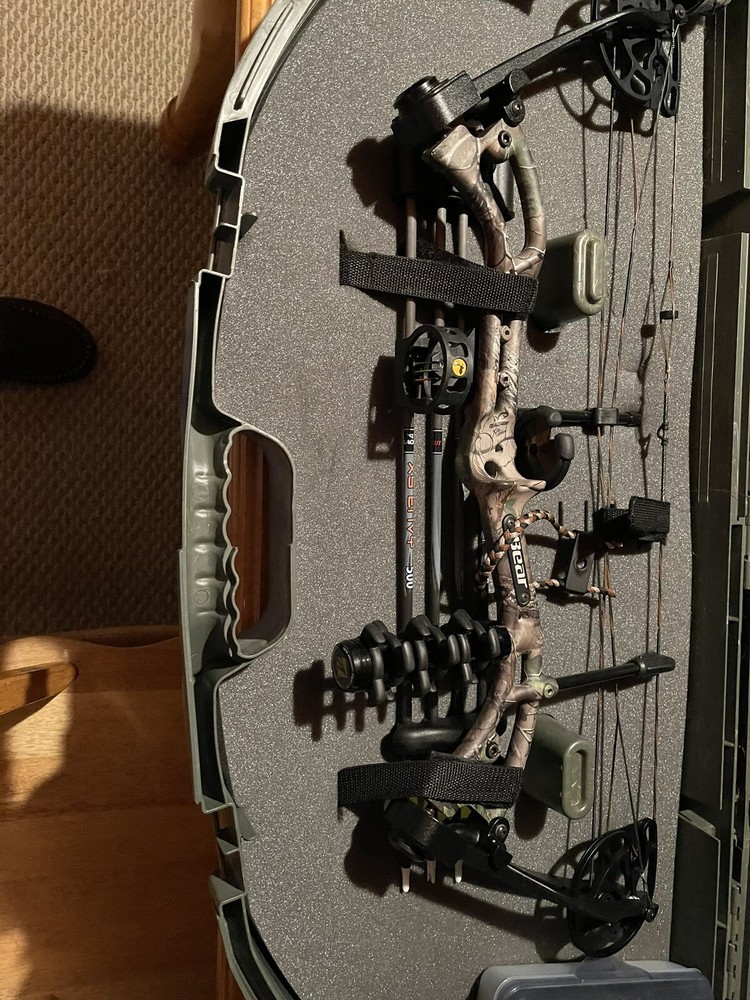 bow and arrow set hunting