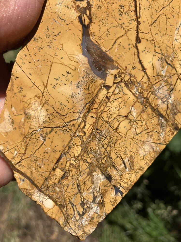 Brecciated Gold Jasper Slab