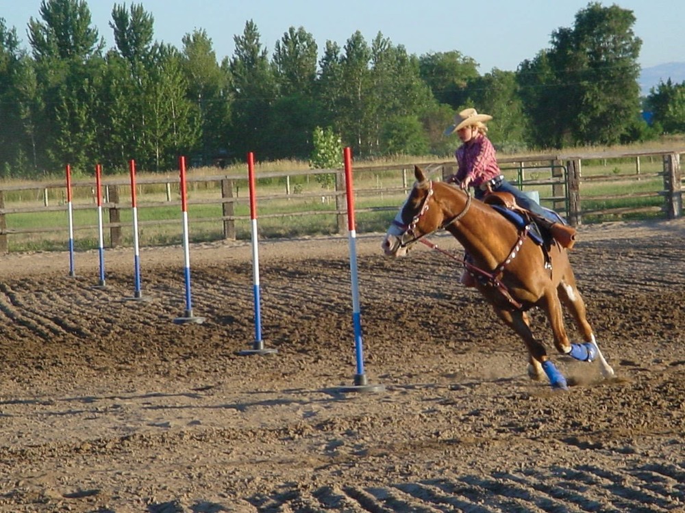 Pbp-6 Red White Blue Plastic Parts Replacement Clear Medium Size