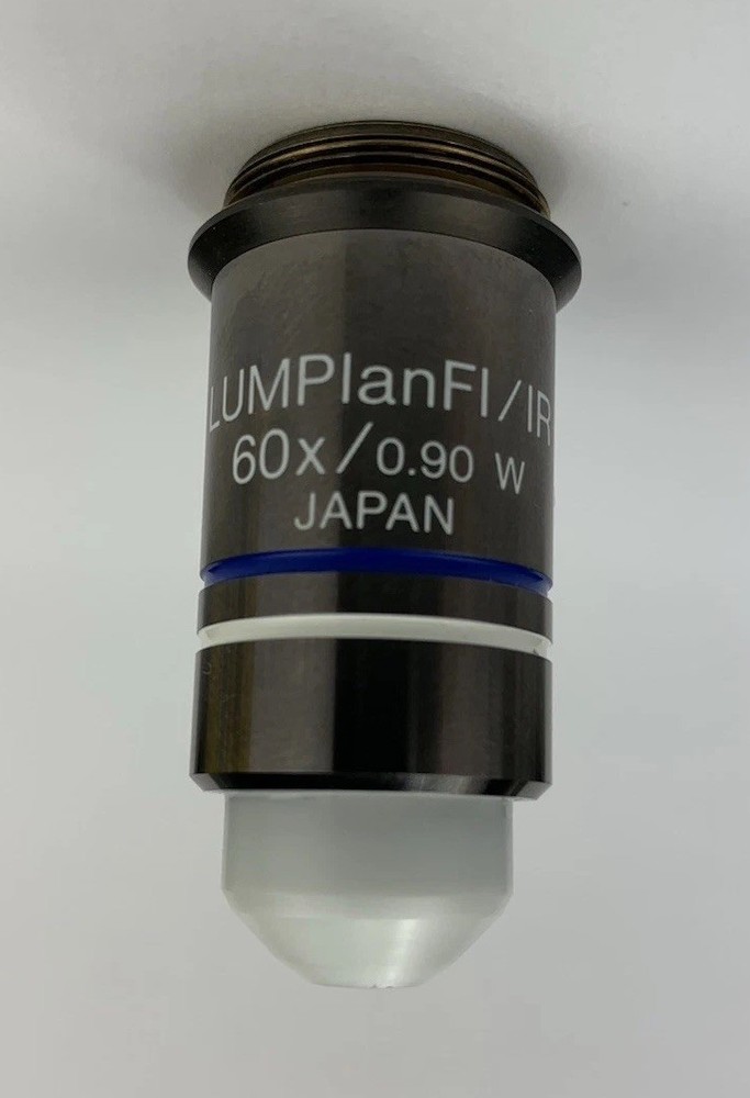 Olympus Microscope Objective LUMPlanFL / IR 60x W Water Immersion RMS Infinity