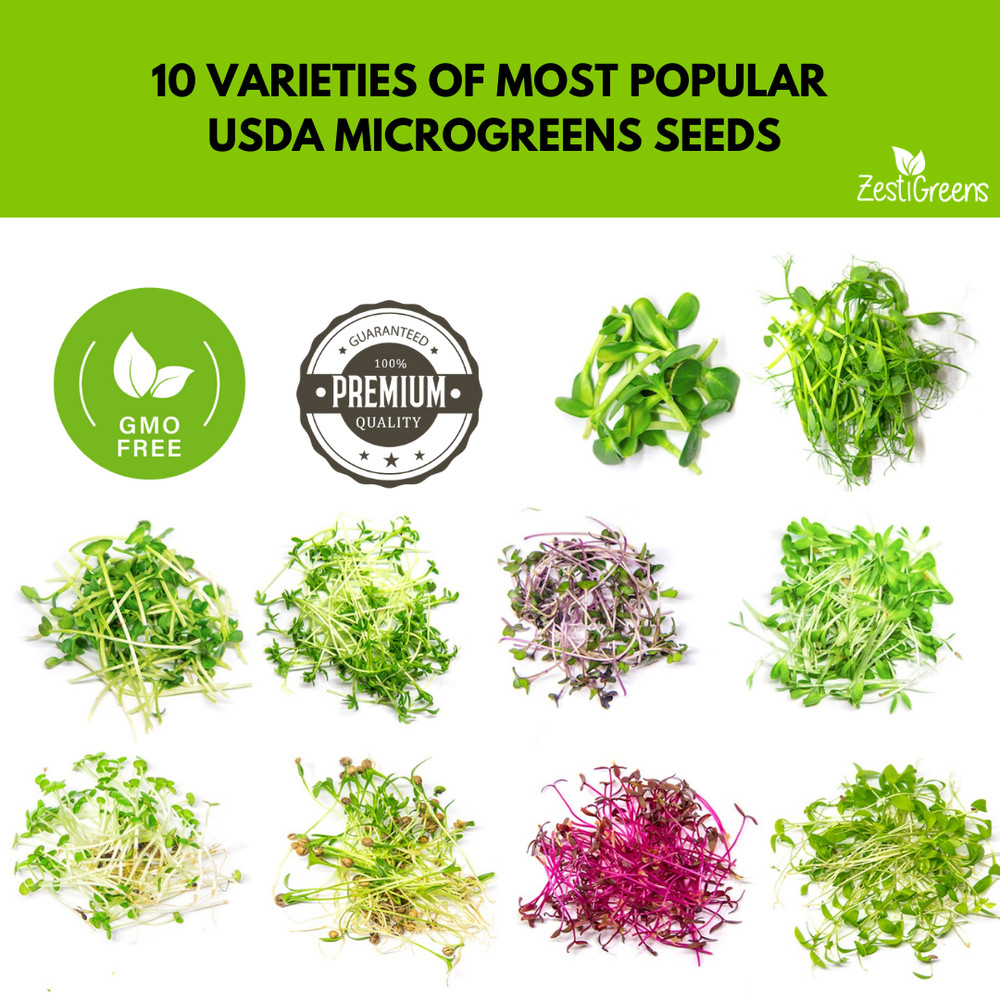 Organic Variety Pack Microgreens Seeds
