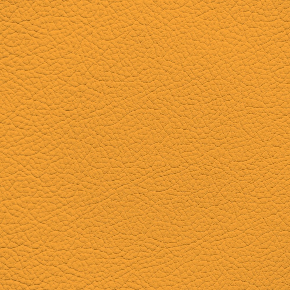 BMW Maisgelb/Corn Yellow Leather Dye