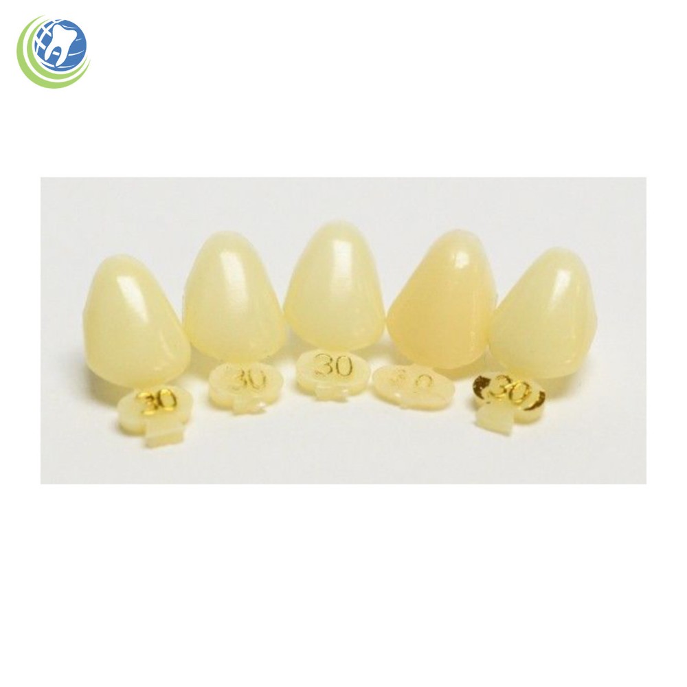 DENTAL POLYCARBONATE TEMPORARY CROWNS #30 (URC) UPPER RIGHT CUSPID  5/PACK