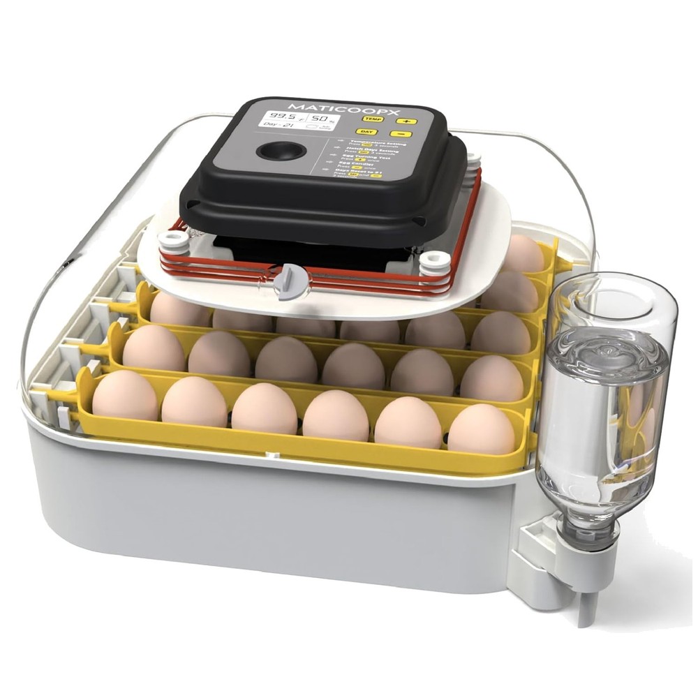 30 Egg Advanced Incubator with Humidity Display & Automatic Turner for Hatching