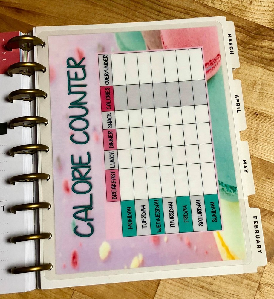 Calorie Counter Dashboard Insert 4 use with Happy Planner