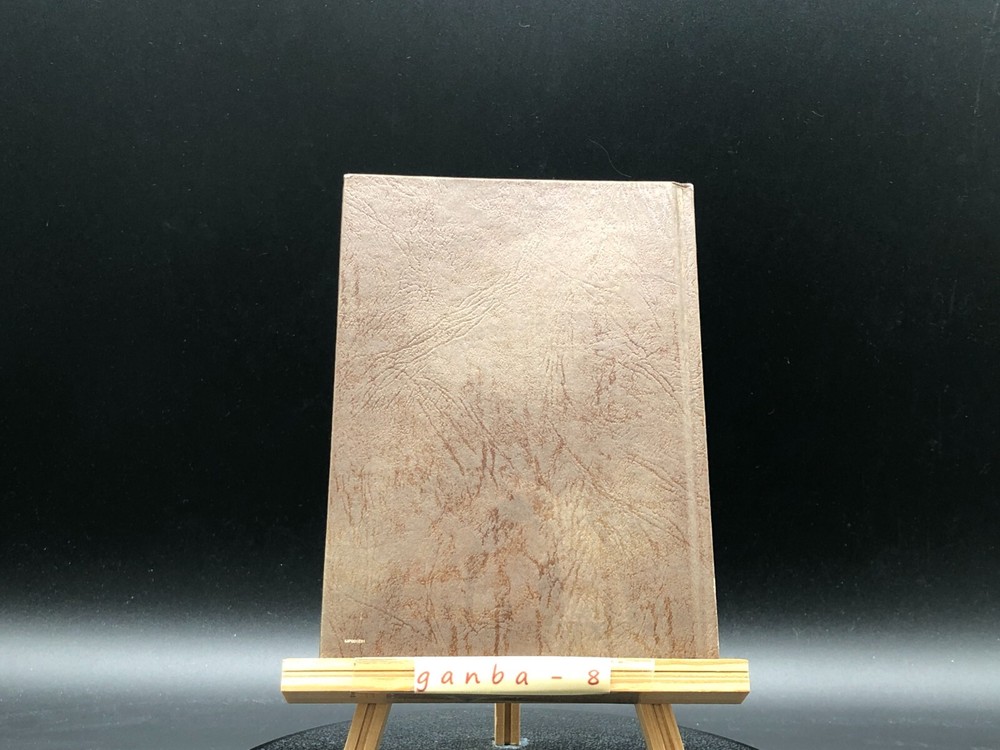 Releeshahn Strategy guide book from japan