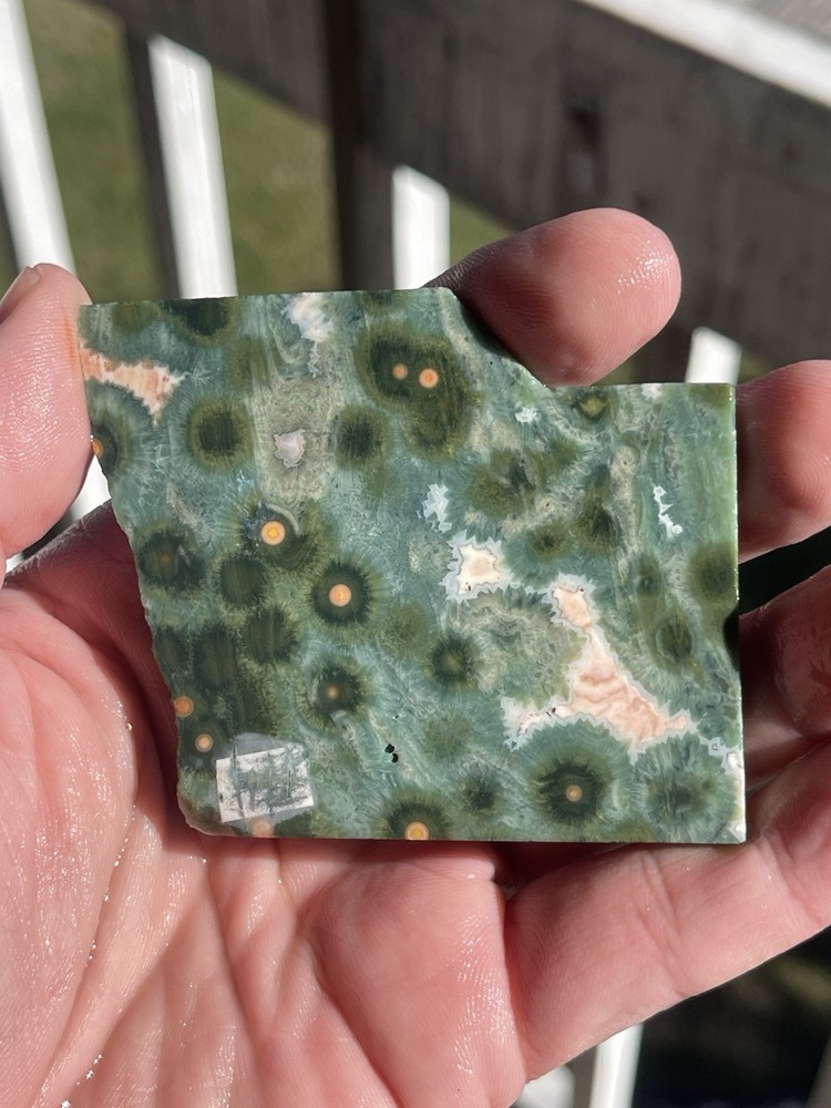Ocean Jasper Slab
