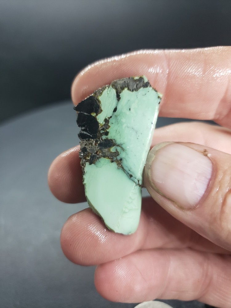 Nevada Frog Blossom Variscite Slab