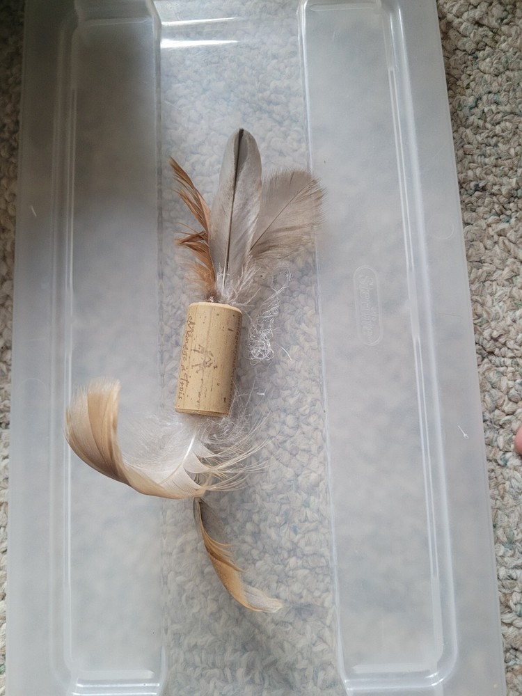 Cork Feather play cat toy