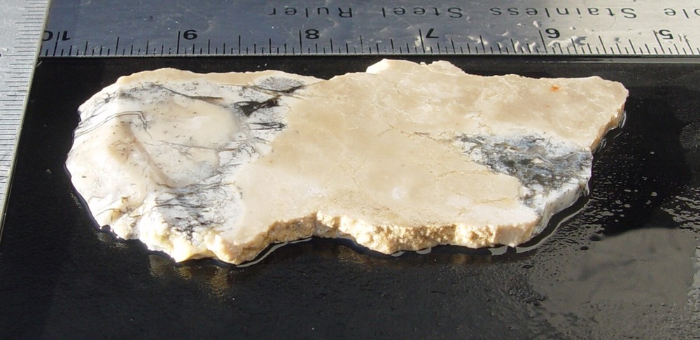 Cedar Ridge Dendritic Opal Lapidary Slab T1007