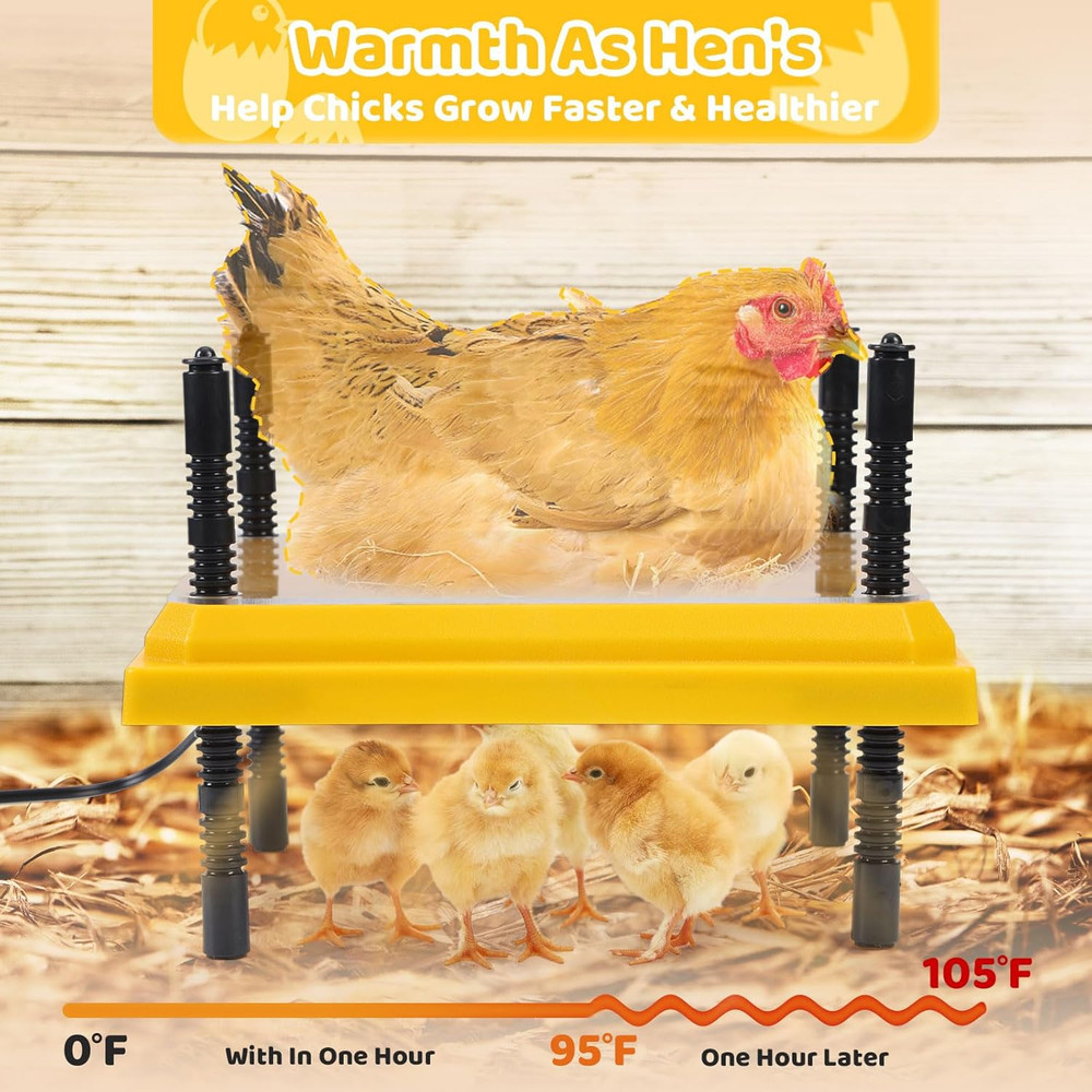 Brooder Heating Plate for Chicks Adjustable: with Bonus 12x12 Warmer with Easy-