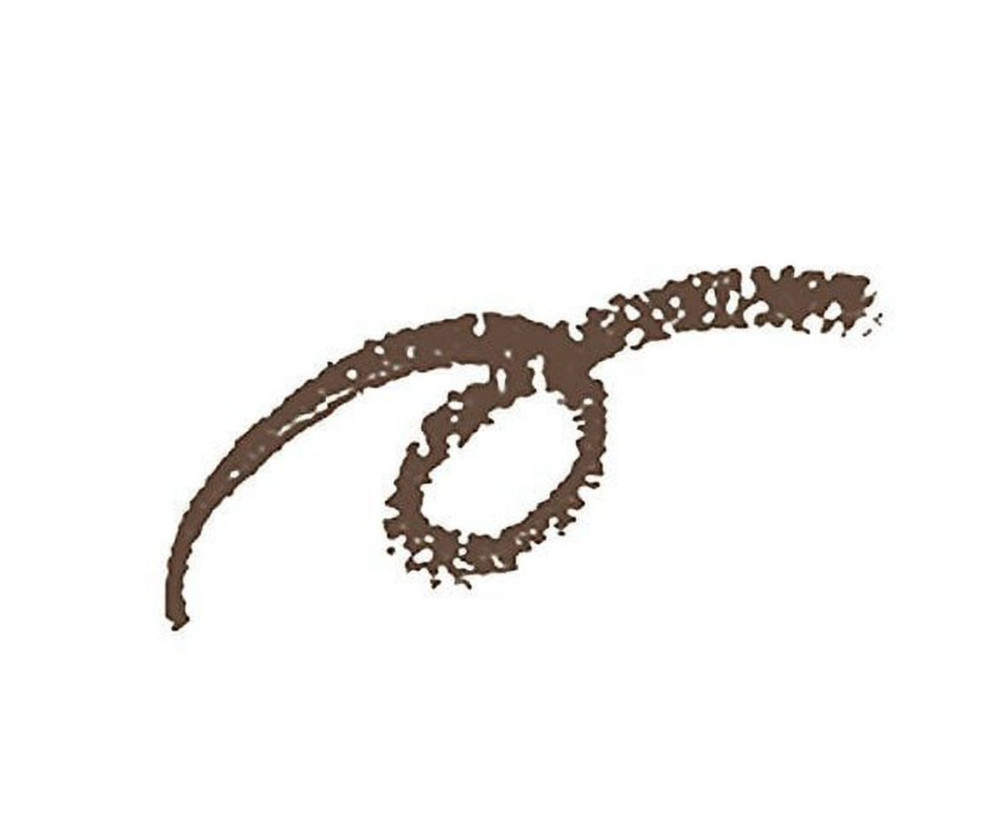 Shiseido Eyebrow Pencil --02 Dark Brown