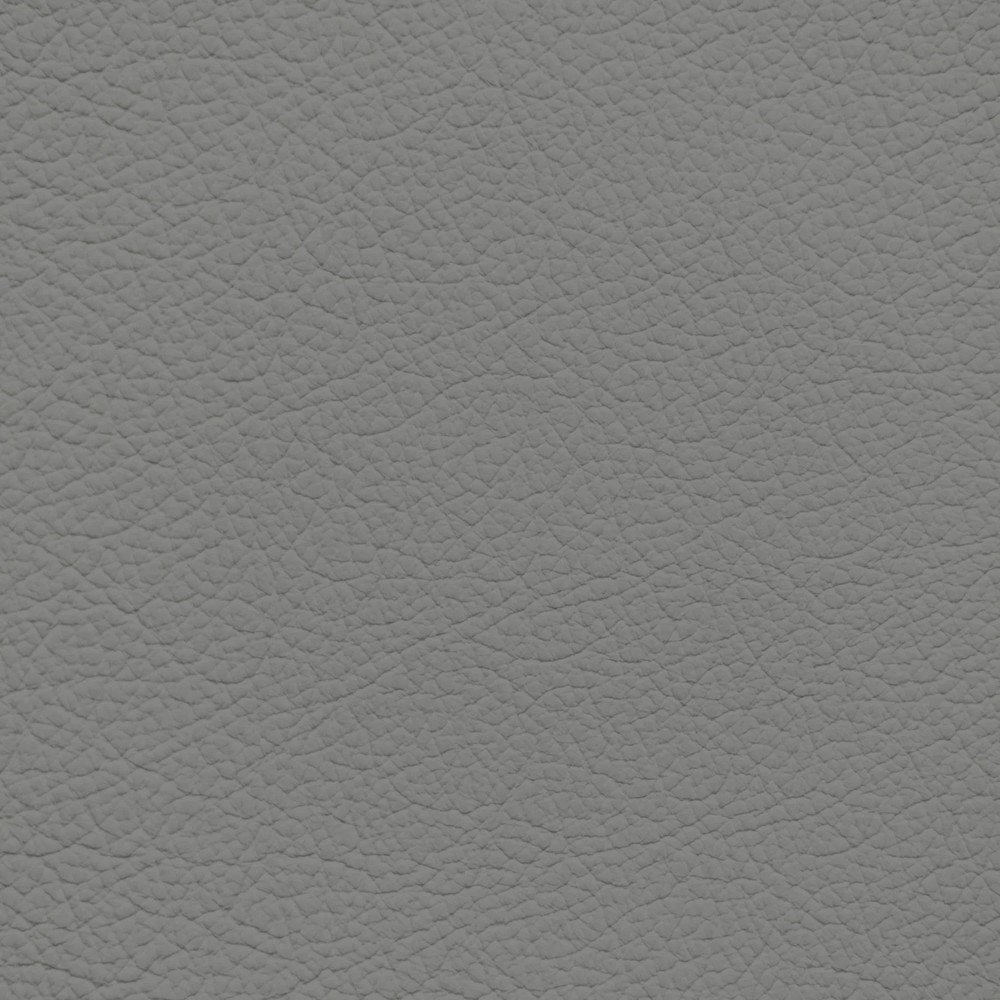 Jaguar Nimbus Grey Leather Dye