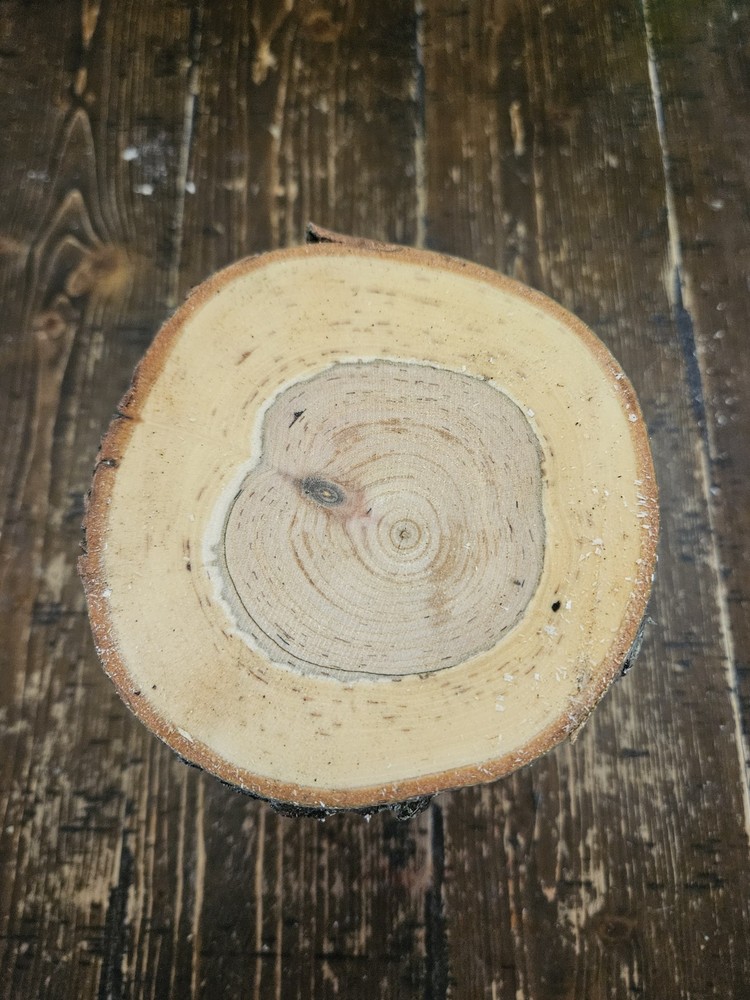 CHERRY Turning Crotch Log 9" Long c291