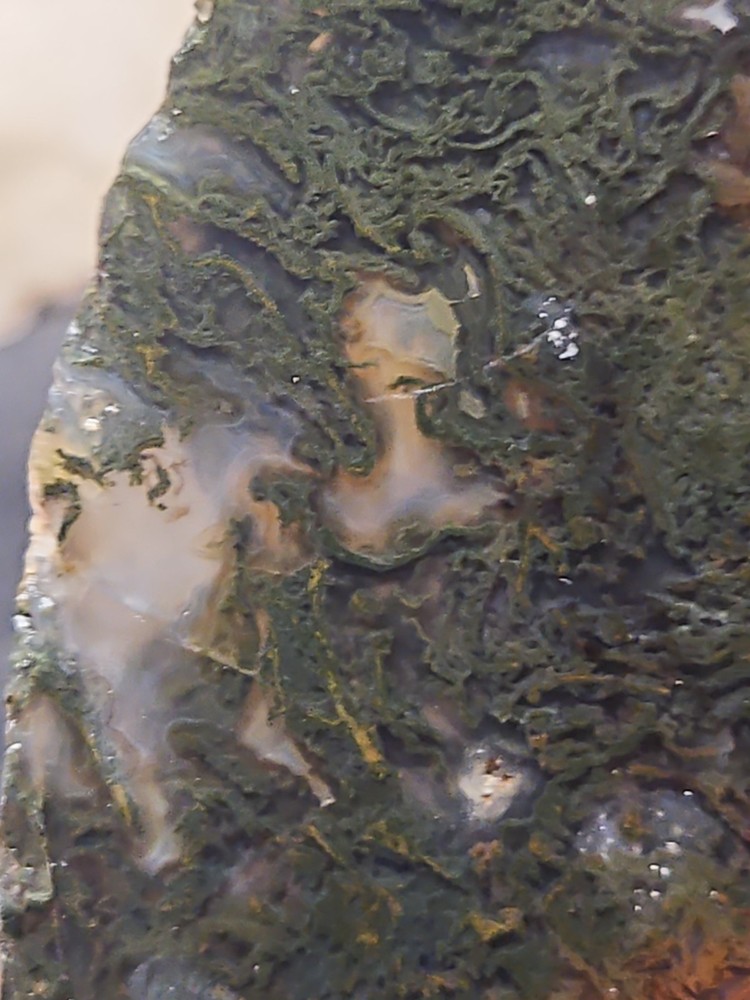 Murray Mountain Moss Agate Slab Specimen (14 oz)