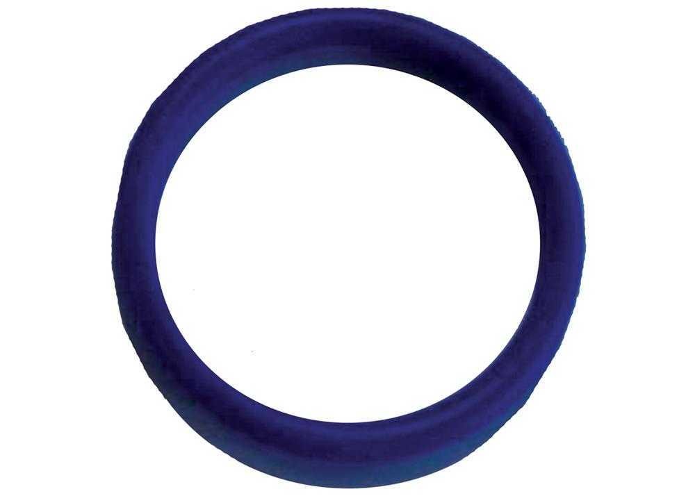 Engine Coolant Outlet O-Ring