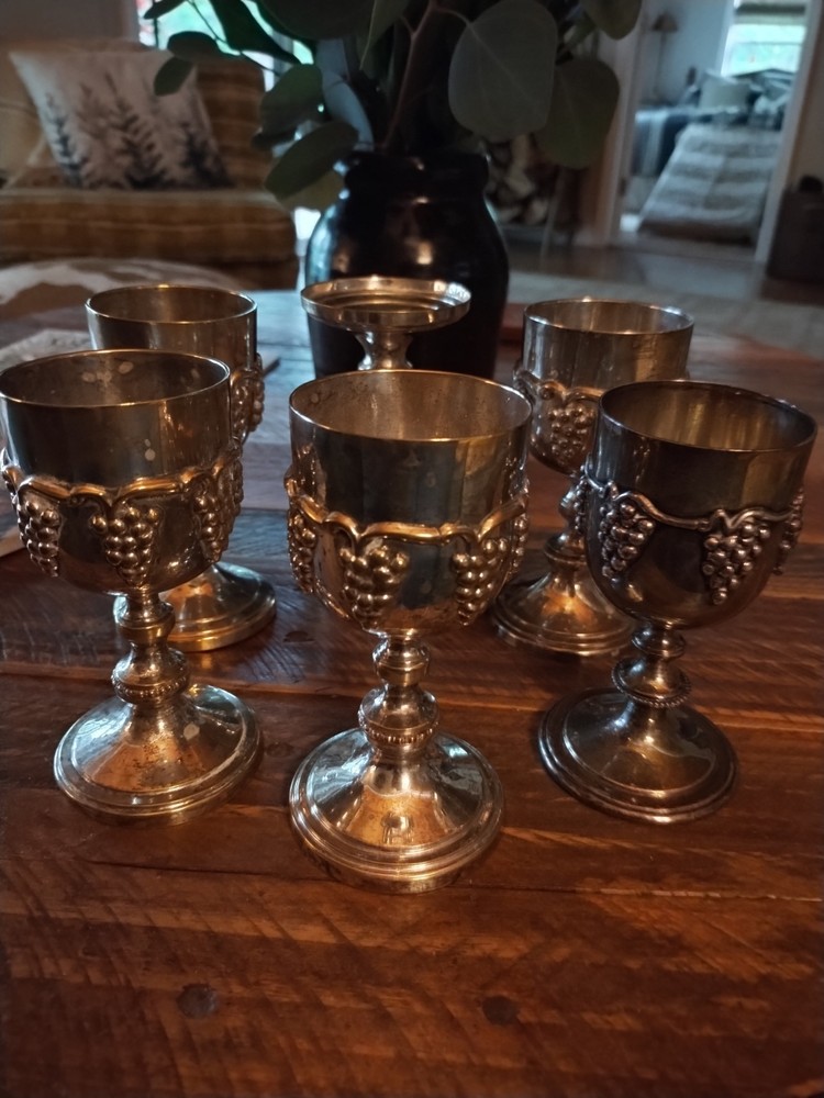 Silver Plated Goblets India EPNS Set Of 6