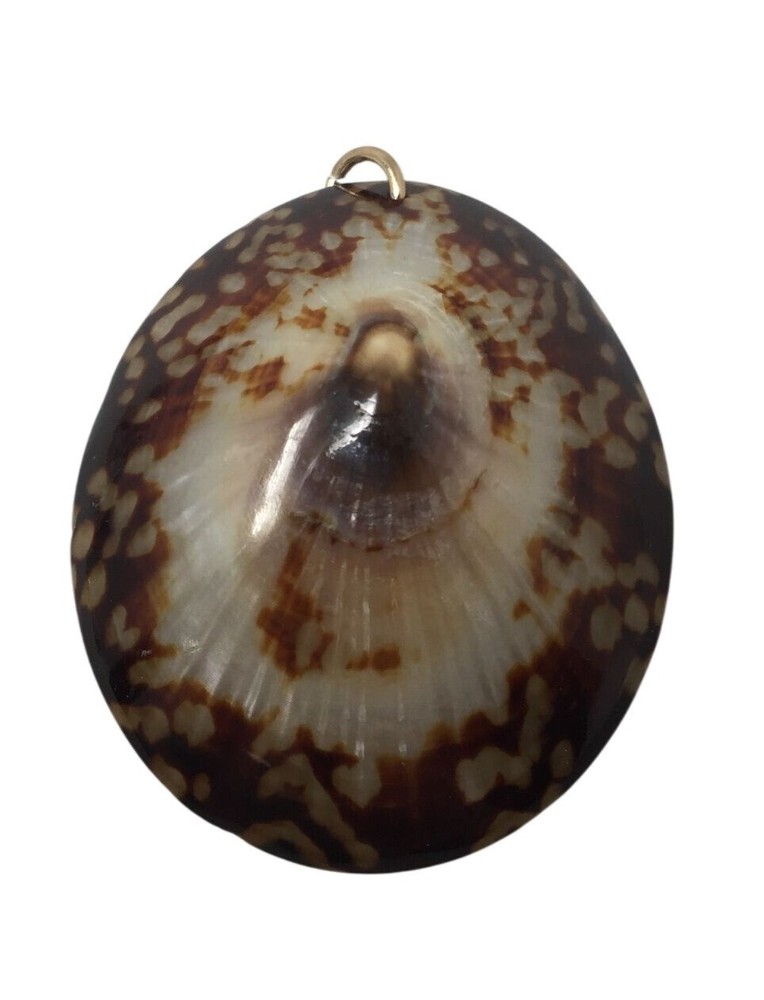 Vintage Brown/White Sea Shell Pendant For Necklace