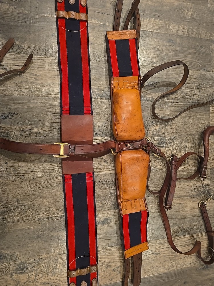 horse training surcingle
