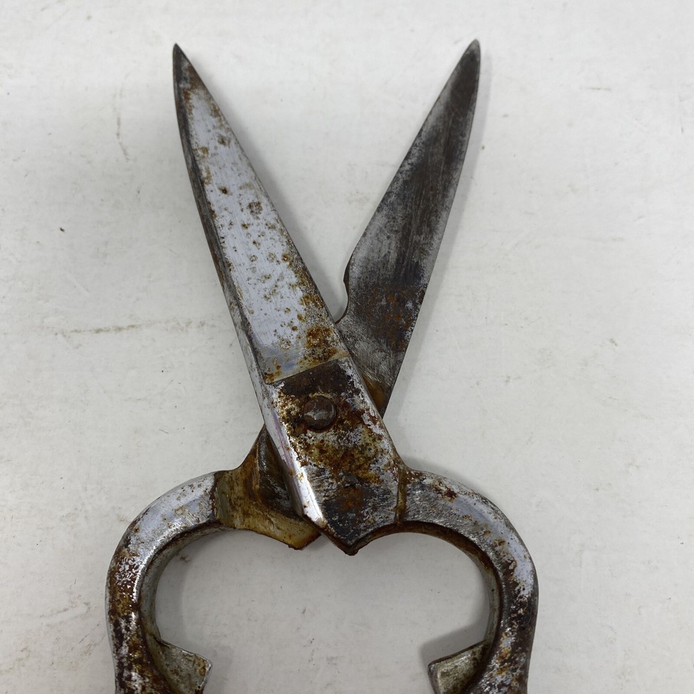 Kitchen Scissors, 8”, Chrome Marks 201C, Italy