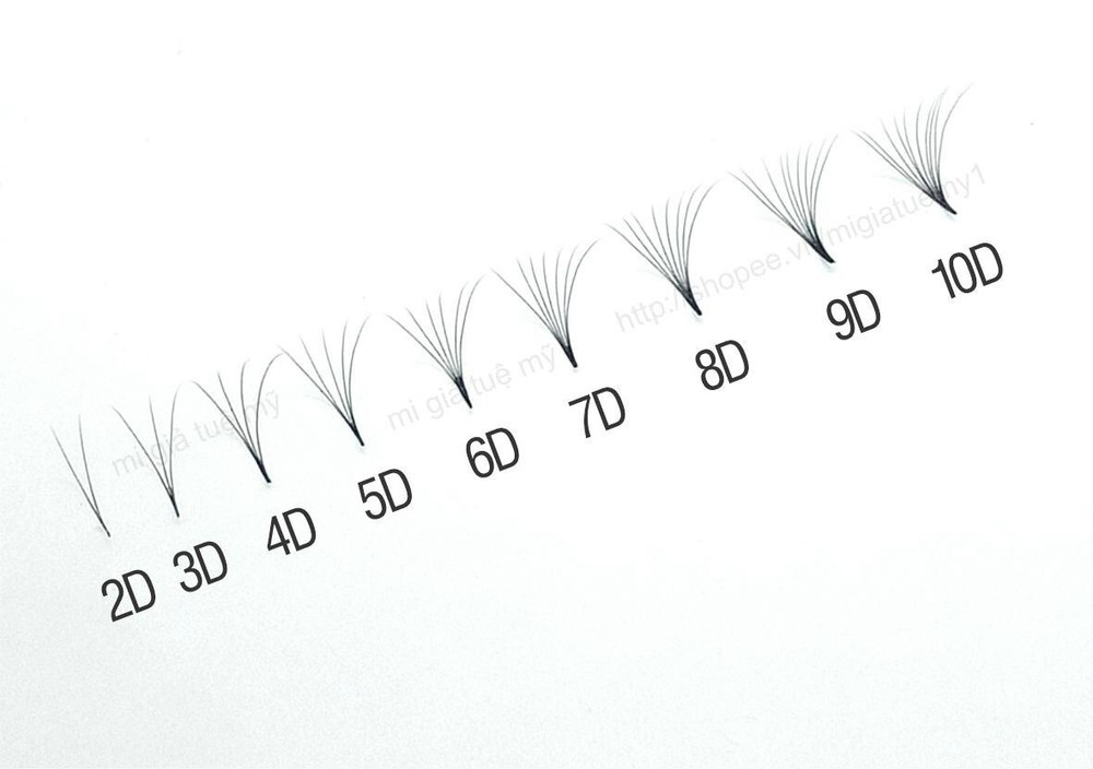 lash extensions fan