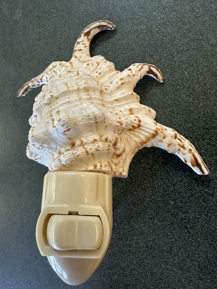 Vtg Seashell Night Light Plug in Beautiful Natural Shell Approx 5”