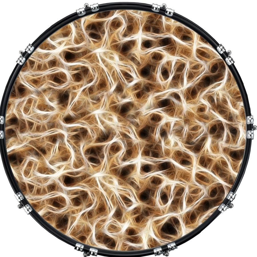 20" Custom Bass Kick Drum Front Head Graphic Graphical Nerves 2