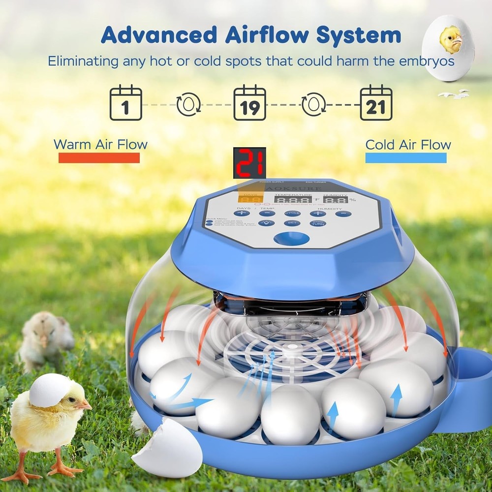 12-24 Egg Capacity Automatic Egg Turner, Temperature & Humidity Control