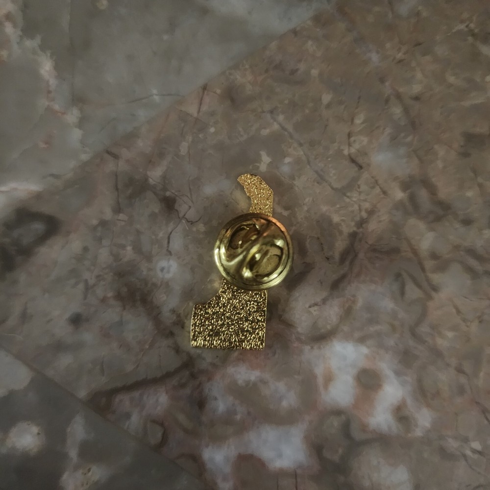 Gold Tone Delaware Souvenir Lapel Pin