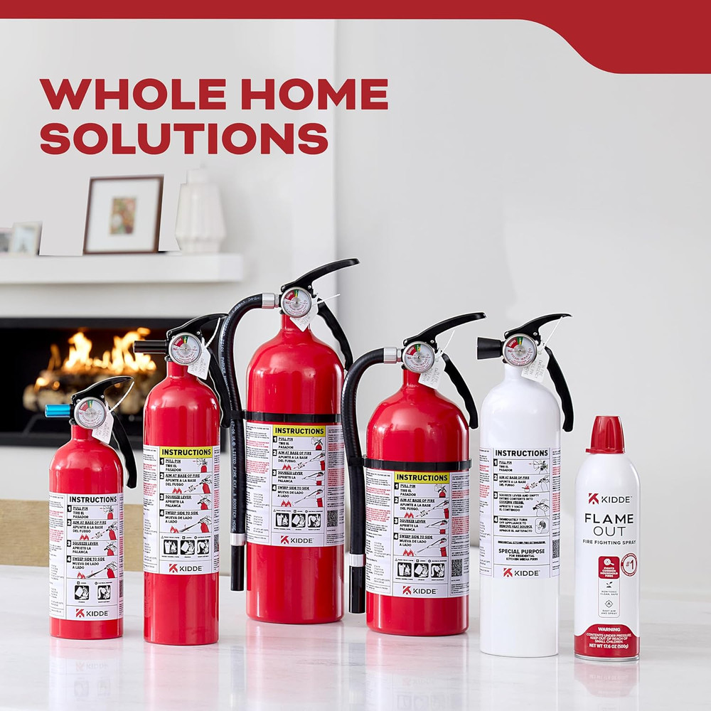 Fire Extinguisher for Home & Office Use, 5-B:C, 3.2 Lbs., USCG Approved with ...