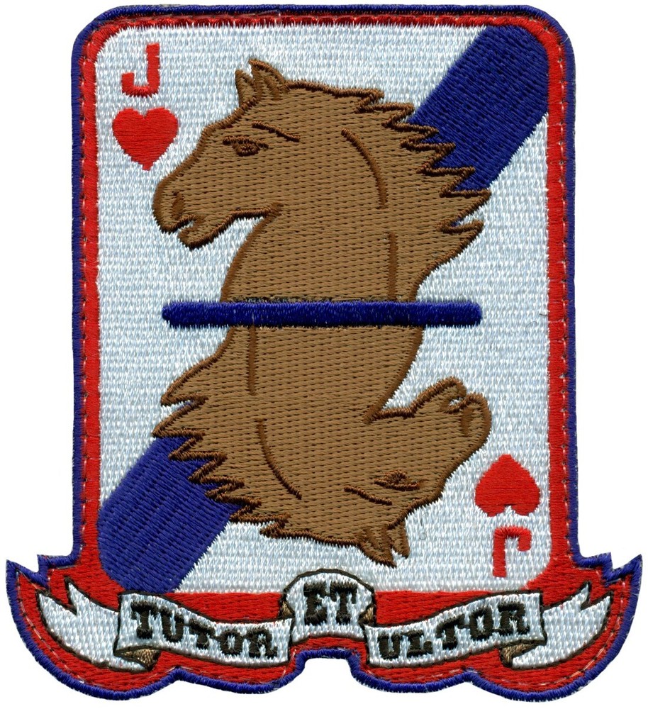 USAF 434th FIGHTER TRAINING SQUADRON PATCH -  HERITAGE - VERSION 1