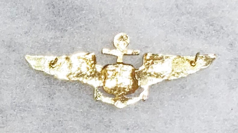 Venezuela Navy Pilots Wing