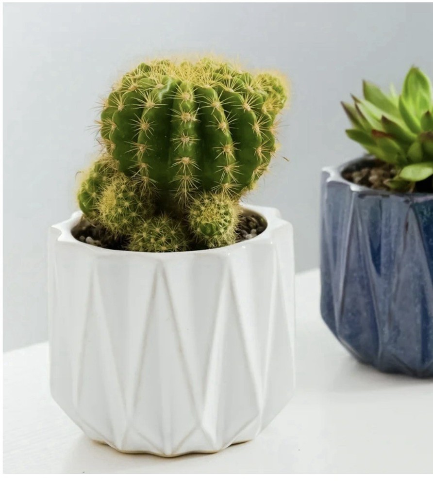 Better homes And Gardens 5” Devi Round Ceramic Planter