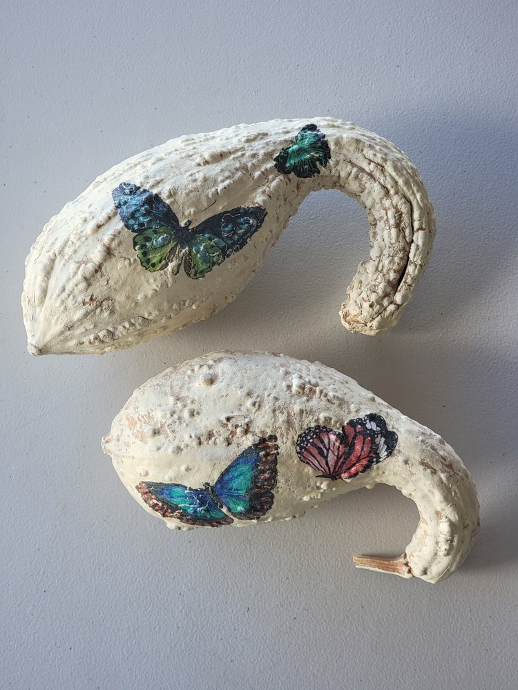 Gourd Butterfly Hand Painted Decor