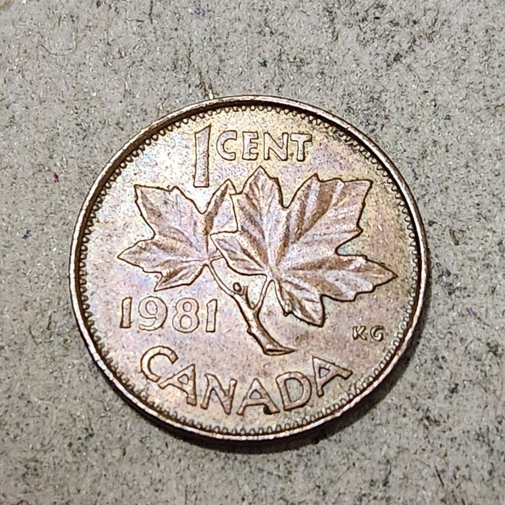CANADA 🇨🇦 ONE (1) CENT COIN 1981 (QUEEN ELIZABETH II)