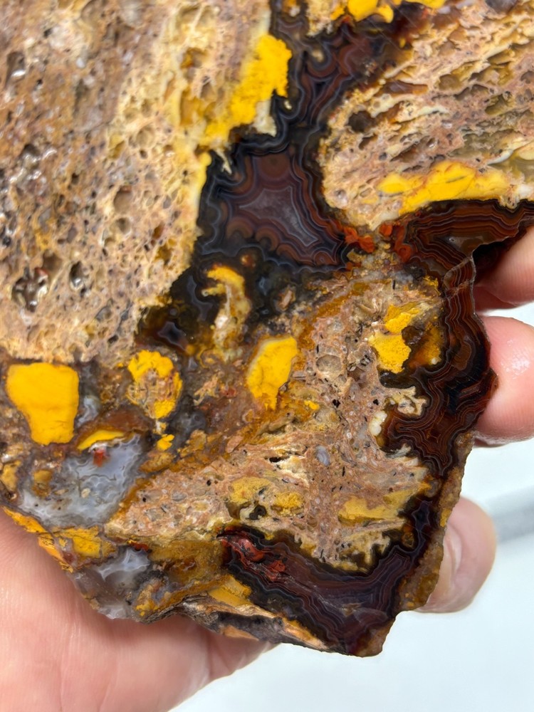 Turkish Agate Slab Cabbing Lapidary Collecting Combo Ship Avail