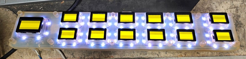 WMS BB2 OLED Button Panel V3.09, with Elastomer Liquid Resistant. Refurbished