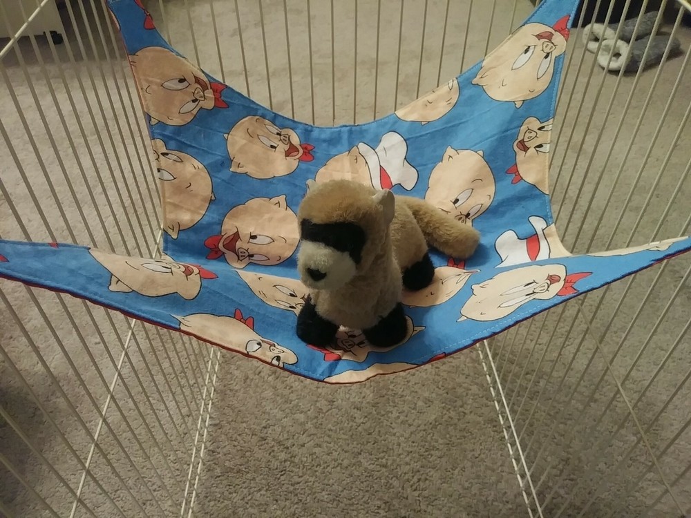 Ferret Hammock - Porky Pig - 14" x 14"