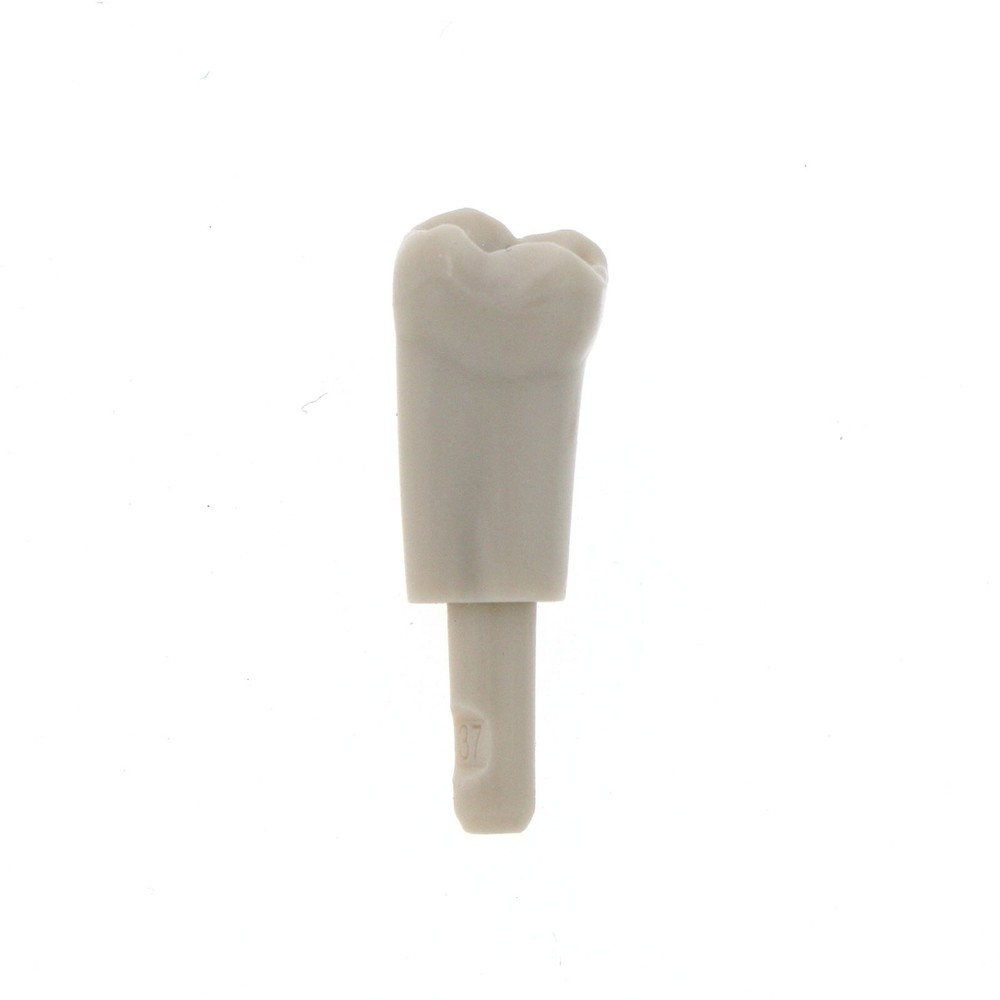 Dental Tooth Model fit for KaVo Basic Model Teeth Retention Mechanism 32 Pcs