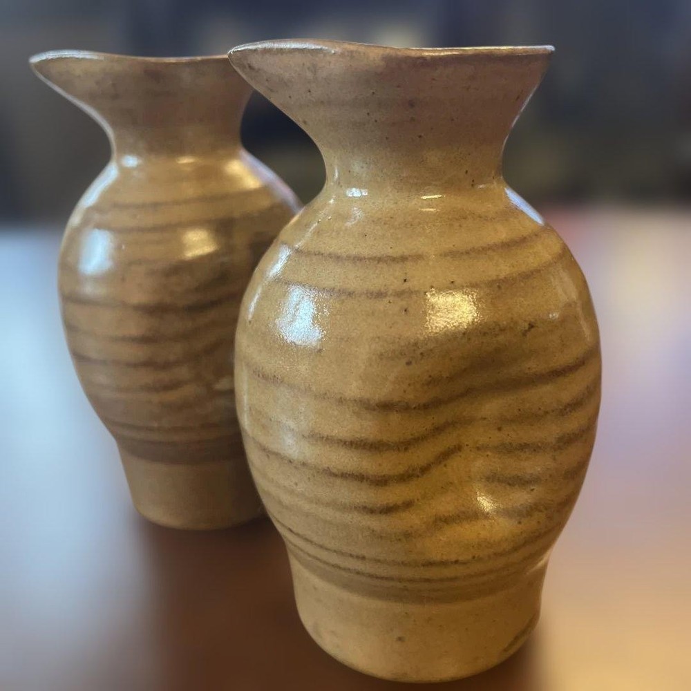 Ceramic sake bottle and sake cup set Iwakuni Tada ware