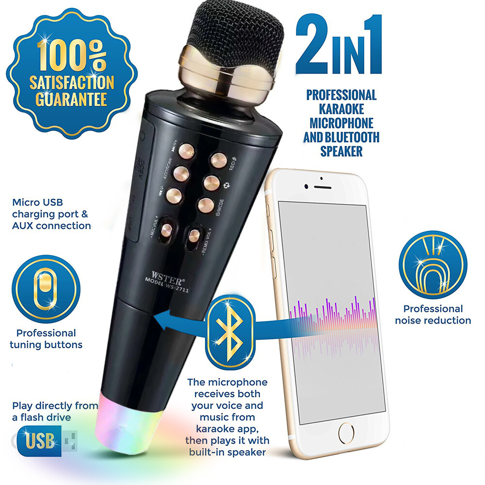 Handheld Vocal Microphone & Karaoke Speaker with LED Lights & Multimedia Support