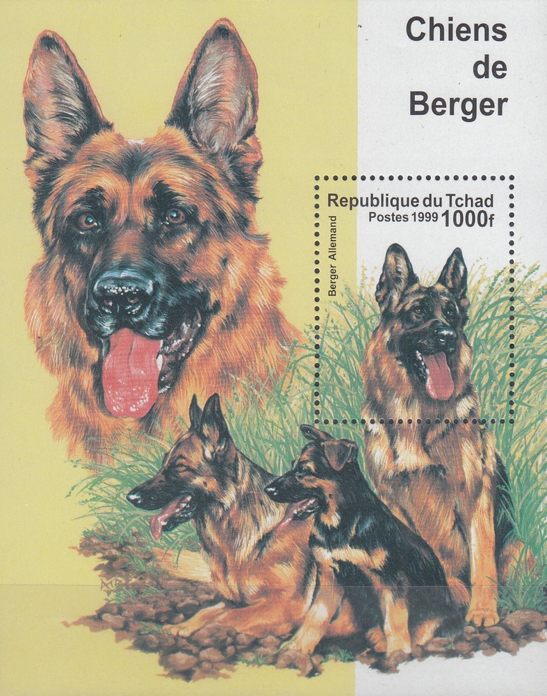 W CHAD 0845G DOGS