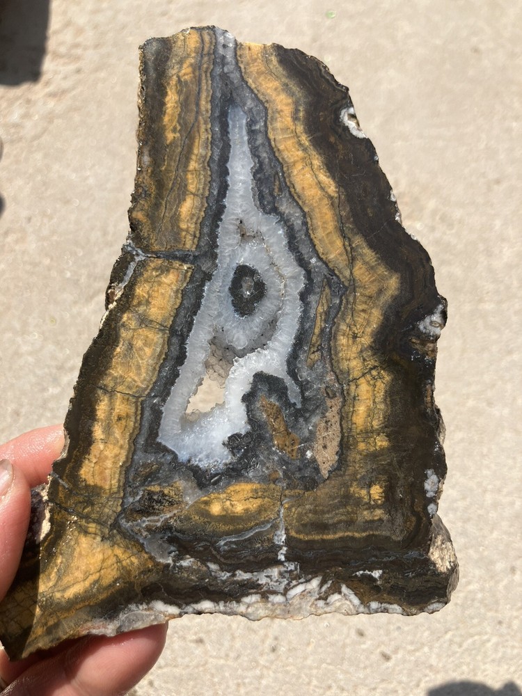 Black And Gold Agate Slab