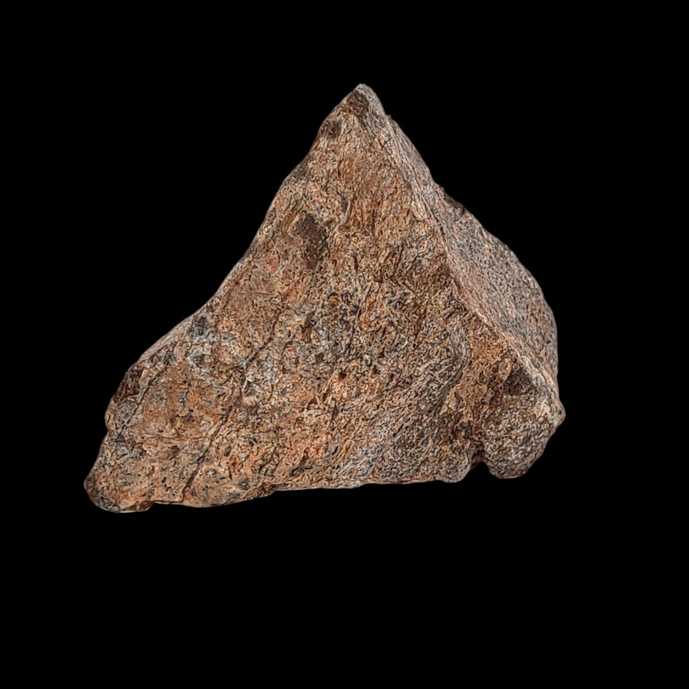 Jurassic Dinosaur Fossil Bone from Morrison Formation Includes Display