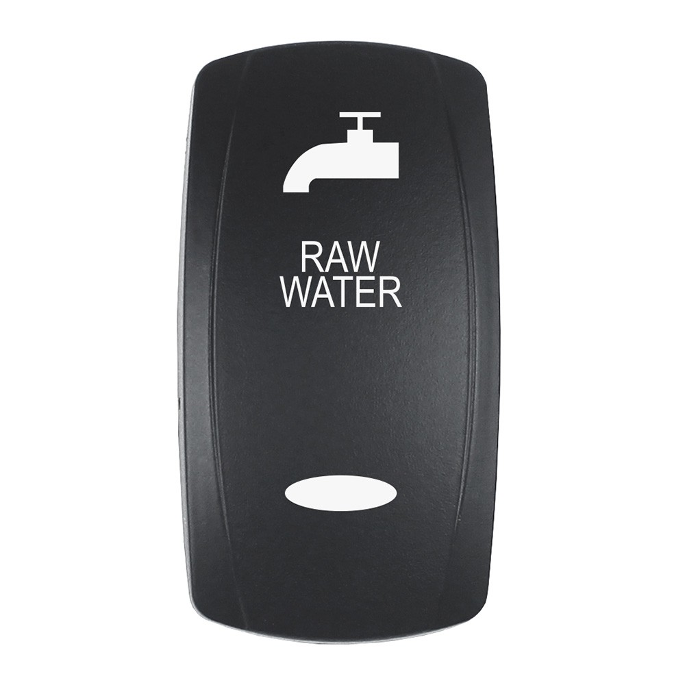 Pacer Group EV2LE-RAW Actuator
