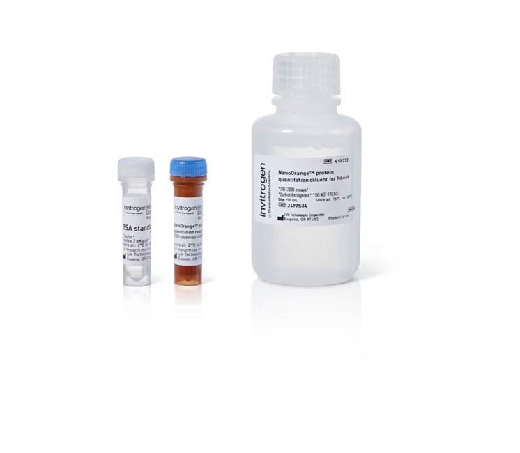 Thermo Scientific NanoOrange™ Protein Quantitation Kit
