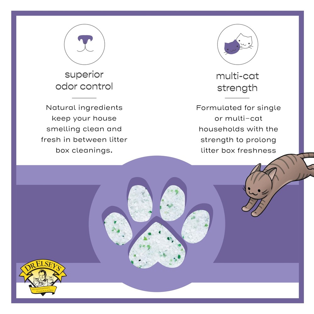 Silica Cat Litter 8lbs Odor Control, Low Dust, Clumping, Lightweight